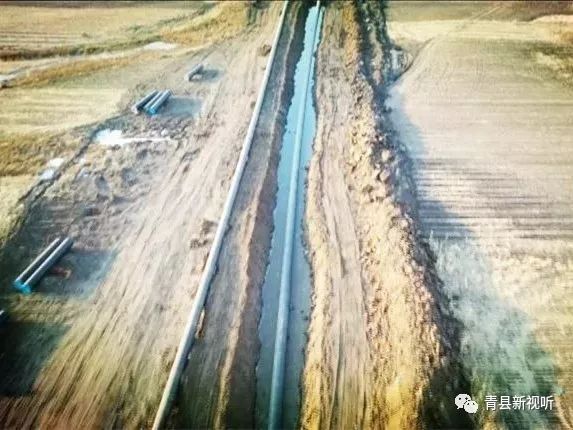 感受青县“硬核”力量！渤海装备巨龙钢管科技实现新突破！(图3)